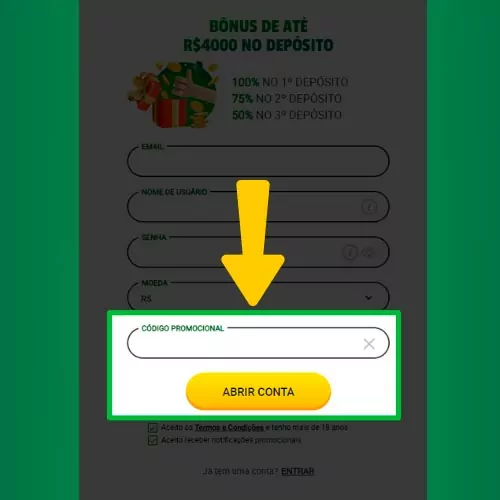 Digite seu código promocional e confirme o registro